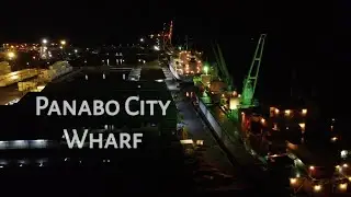 Panabo City Wharf Night Overview [2nd Fly/Uncut] | DJI Mavic Mini 2 | iVlogU