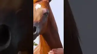 Дўстлар телеграмм каналимга обуна бўлинг. https://t.me/+Q5wdBQ3kXuIxMDgy