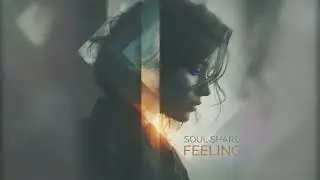 Soul Shard - Feeling