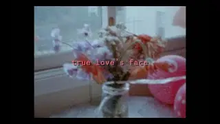 Erin Rae - True Love's Face (Official Lyric Video)