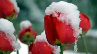 حسام الرسام مدري شبية يا ربي