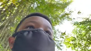 Travel Vlog EP3 (Butterfly Garden)