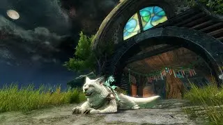 GW2│ Janthir Wild Part 1│Getting the Warclaw Mount Skin + Fun Dance Event