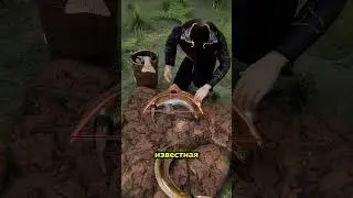 Why do fishermen bend fish into an arc? 