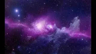 Vocal (Spectre x L O V E - S T A R)