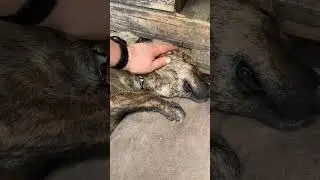 Уралочка ❤️
