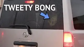 SNEAKING TWEETY ACROSS THE BORDER!
