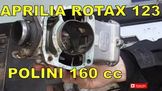 BLOCCO APRILIA ROTAX 123 160 POLINI