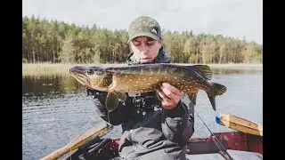 For me it's a SHOCK - I put a DUCKLING on and the Pikes Went Wild. Fishing with the best snagless...