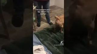 Chiquitaaaa 😂🤣