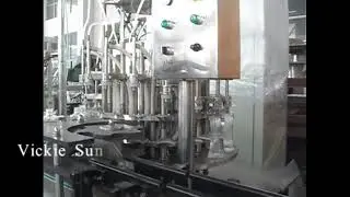 2000BPH water rinsing filling capping machine