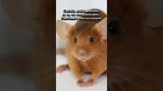#подруги #юмор #дружба #humor