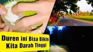 Berburu Durian dari Sore hingga malam hari- Hasilnya bikin darah tinggi #OutdoorAdventure