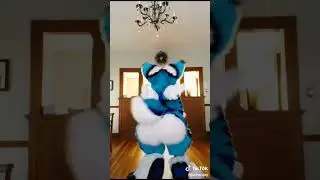 Woahh fursuit cake?!