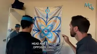 A demonstration of simple vestibular / VOR exercises you can perform using the MotionGuidance system
