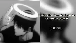 PAPI DE MI VIDA AMOR (slowed & reverb)  tik tok remix