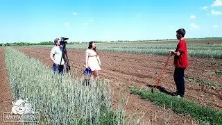 Слава о Соль-Илецких арбузах дошла до Бразилии 🇧🇷