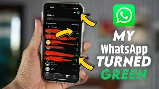 My WhatsApp Turned Green what should i do | WhatsApp Green Colour | Why Has WhatsApp Turned Green