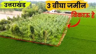 3 बीघा जमीन Near River and 35 Ft Road | Uttarakhand