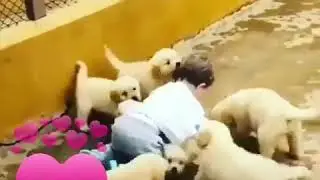26 сентября 2019 г.