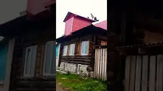 Летающий павлин