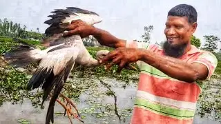 Fish Catchar|Fish Hunter Catch|