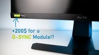 Do You Really Need a G-Sync Module? ViewSonic XG270QG Tested