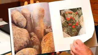 Joe Cornish talks about Peter Dombrovskis