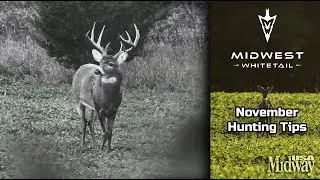 Where and When to Hunt Whitetails in November | Midwest Whitetail