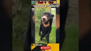 भईया, भालू असली हैं या नकली ? || bear costume Real or Fake 🔮 