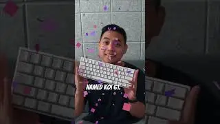 Story of Koi Co!