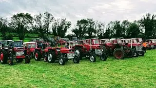 2024 Larchfield Show