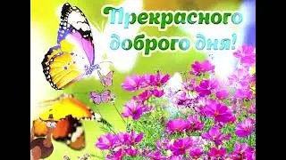 Добрый день!