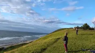 Oliver på skrænt 2