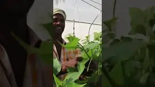 Startup Stories Spotlight - Kheyti - The Process Behind | YouTube Shorts | Startup Stories