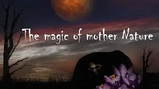The magic of mother nature