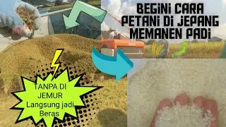 Proses Panen PADI Di Jepang CANGGIH | Langsung Jadi Beras |