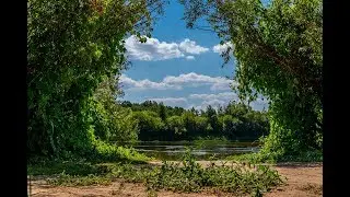 Видео зоны поселка Лесная Пристань