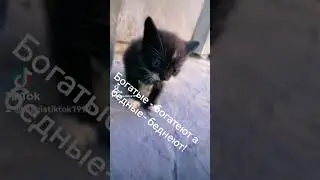 23 июня 2023 г.