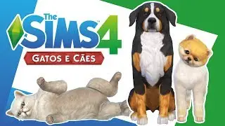 CRIANDO OS PETS 🐱🐶 | The Sims 4 Gatos e Cães | Dimissauro