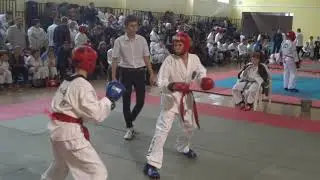 Твид чаги ломает ребра - это тхэквондо