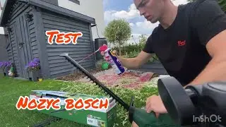 Bosch EasyHedgeCut 18V-45 – Hakuro hedge trimmer test and willow trimming