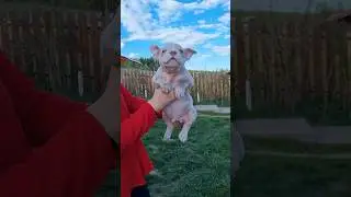 Кабачек свободен +79807427894