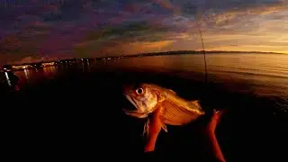 Chasing Sunset Catching Monsters