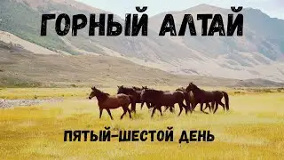 Алтай. Путешествие на машине. Одиннадцать дней дикарями. День пятый - шестой.