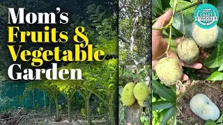 My Mom's Fruits & Vegetable Garden #garden #fruits #vegetables #travel