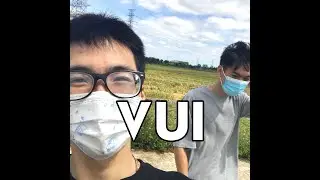 Cosmo&FreeBK - VUI (MV)