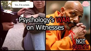 Why You Should Never Trust a Witness