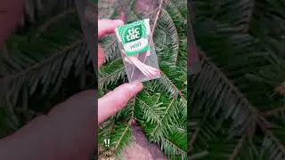 Girl's survival lifehack skills #camping #bushcraft #lifehack