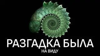Главный закон Вселенной скрывался у всех на виду